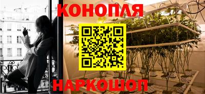 PSILOCYBIN Славгород