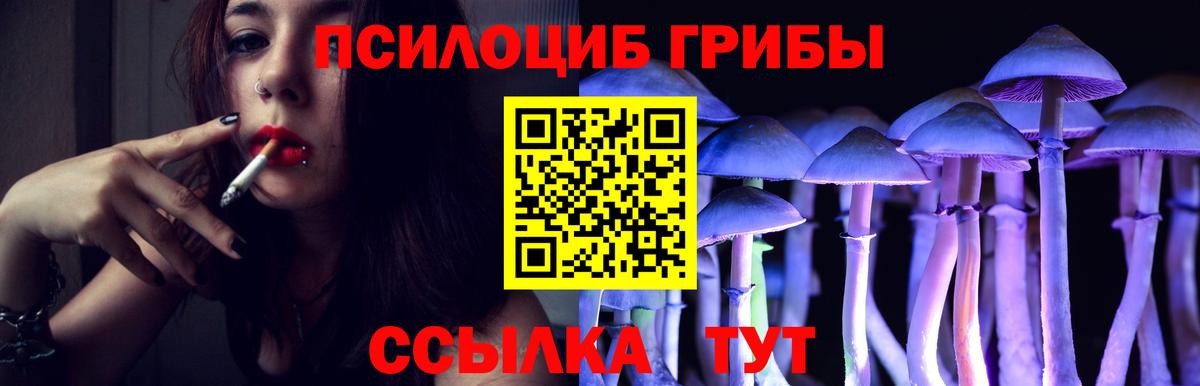 Новоалександровск  Галлюциногенные грибы Psilocybine cubensis  цена   Вход с VPN  Псилоцибиновые грибы мухоморы 