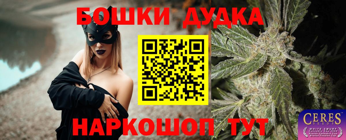 МАРИХУАНА план  Вход с VPN  Канабис VHQ  Новоалександровск  Конопля ГИДРОПОН 